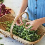 Menopausia y leucocitos bajos