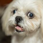 Ojos rojos ardor y dolor de cabeza