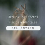 Tension muscular piernas por estres