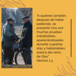 Alcohol ansiedad