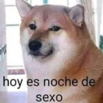 Como se llama la fobia a volar en avión