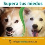 Como superar la fobia a hablar en publico