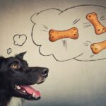Fobia a la oscuridad en niños