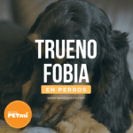 Peores fobias del mundo