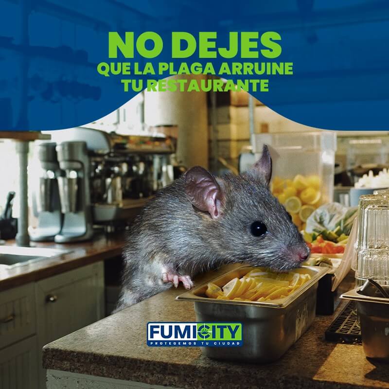 Fobia a los ratones y ratas