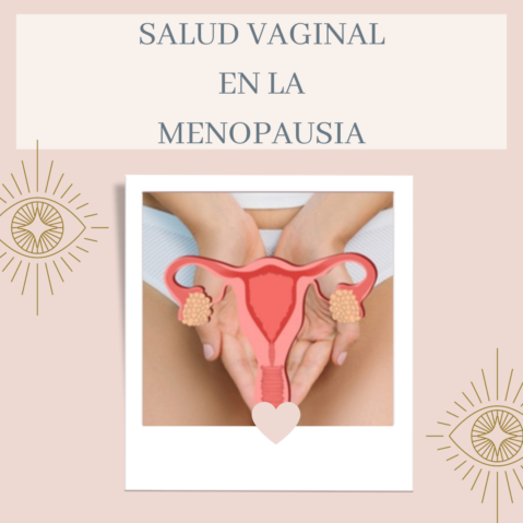 Infecciones ginecologicas en la menopausia