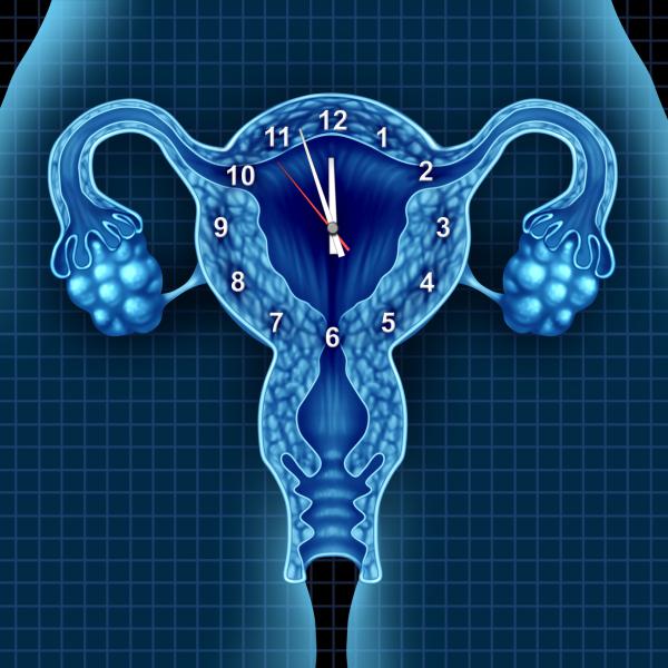 Inflamacion del utero en la menopausia