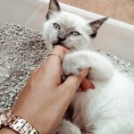 Como quitar la ansiedad y los nervios