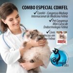 Dolor de cabeza por cambio brusco de temperatura