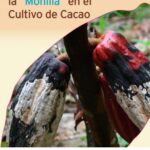 Dolor de cabeza en niños de 9