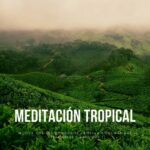 Libro el fin de la ansiedad pdf