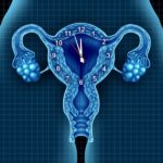 La pre menopausia sintomas
