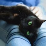 Dolor de cabeza cuerpo y fiebre