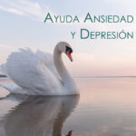 Farmacos contra la depresion