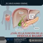 Ansiedad en adultos mayores pdf