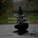 Ansiedad por desconfianza
