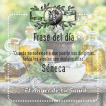 3 meses sin regla menopausia