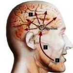 Aliviar con masajes el dolor de cabeza de los niños