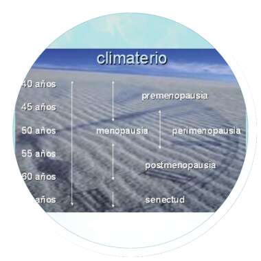 Sintomas vasomotores de la menopausia