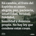 Las muelas del juicio provocan ansiedad