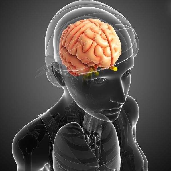 Tratamiento para la neuralgia occipital