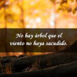 A quien pedir ayuda en caso de depresion