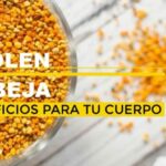 Metodo vive sin ansiedad pdf gratis