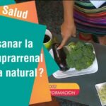 Rhodiola y ansiedad opiniones