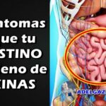 Ansiedad ansiedad