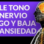 Cura de la ansiedad