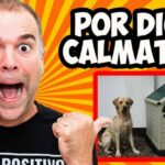 Recaída ansiedad con medicación