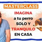 Me duele todo el cuerpo ansiedad