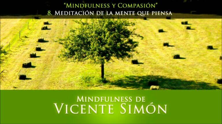 Mindfulness vicente simon ansiedad