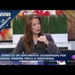 Plato anti ansiedad perros