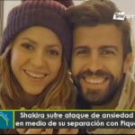 Trucos para ansiedad por separación perros