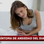 Ansiedad por la comida en perros