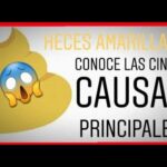 Vitaminas depresion ansiedad