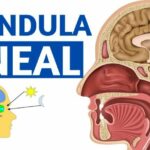 Ansiedad e irritabilidad