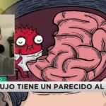 El pequeño libro de la ansiedad