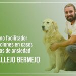 Temblor ansiedad