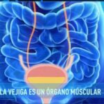 Ansiedad y tension alta