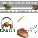 Ansiedad patologica tratamiento
