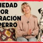 Piernas flojas ansiedad foro