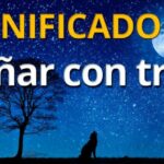 Le gusto test