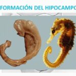 Personas que mienten