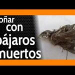 Terminarle