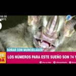 Test coeficiente intelectual gratis