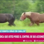 Soñar con guerra
