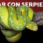 Como ser extrovertido