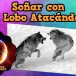 Frases de la vida originales
